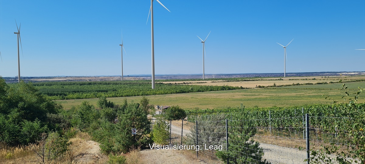 Windenergieanlagen neben Weinreben, so soll der Windpark Kausche 1 auf der Fläche des ehemaligen Tagebaus Welzow-Süd mal aussehen.