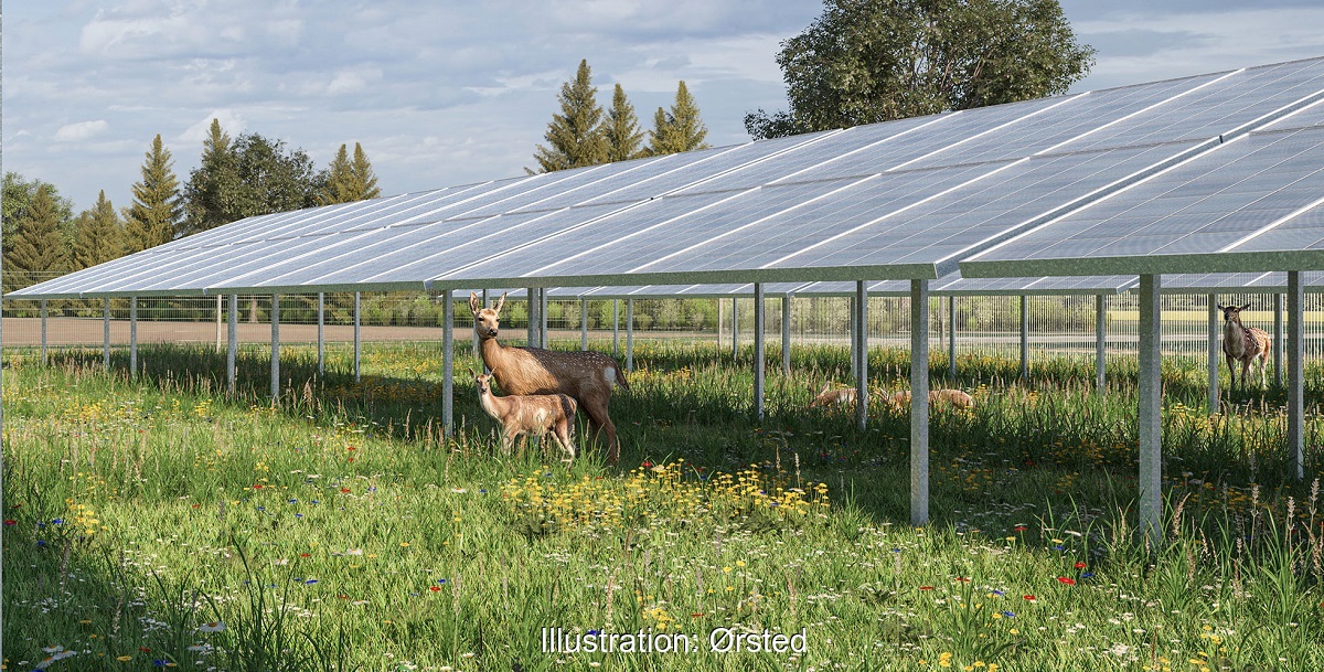 Eine Animation zeigt Damwild des Weiherhofs unter und zwischen den Photovoltaik-Modulen der geplanten Wildpark-PV-Anlage Sötern.