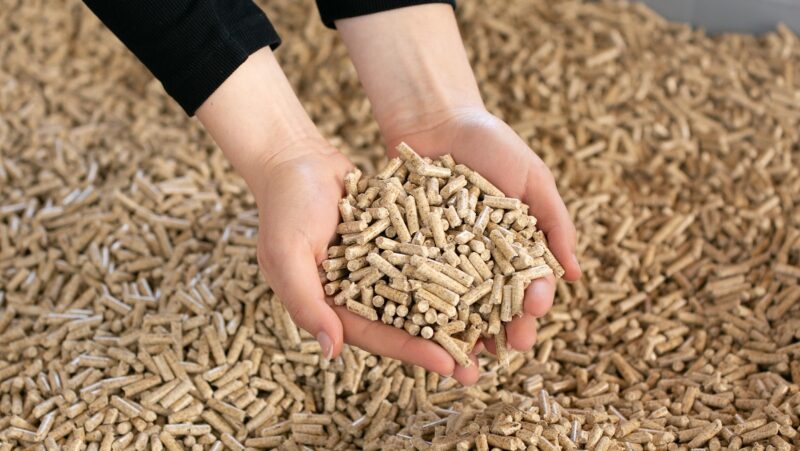 Zwei Hände greifen in Holzpellets, die Pelletsqualität und das Ofendesign beeinflussen die Emissionen von Pelletsöfen.
