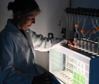 Professorin Kirstin Gutekunst steht an einem Versuchsaufbau für Biophotovoltaik, das soll die Wasserstoffproduktion von Cyanobakterien durch Photosynthese ermöglichen.