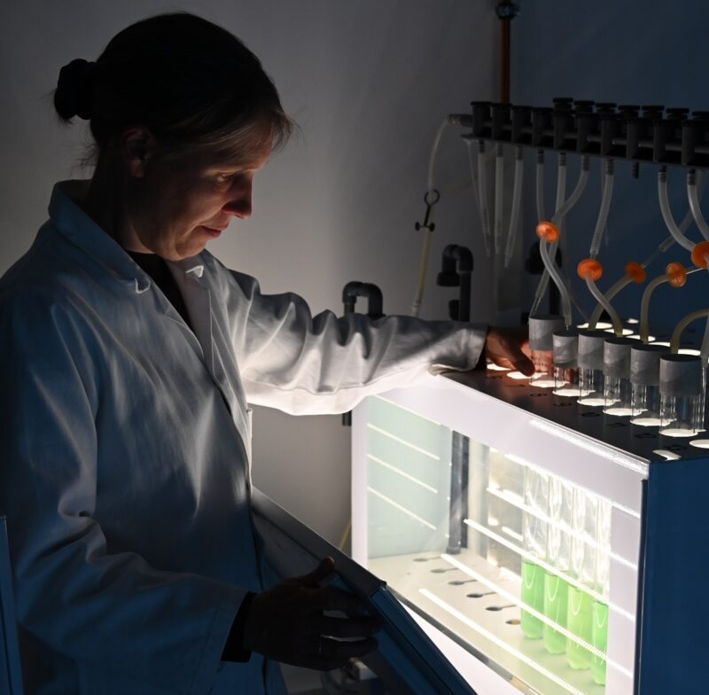 Professorin Kirstin Gutekunst steht an einem Versuchsaufbau für Biophotovoltaik, das soll die Wasserstoffproduktion von Cyanobakterien durch Photosynthese ermöglichen.