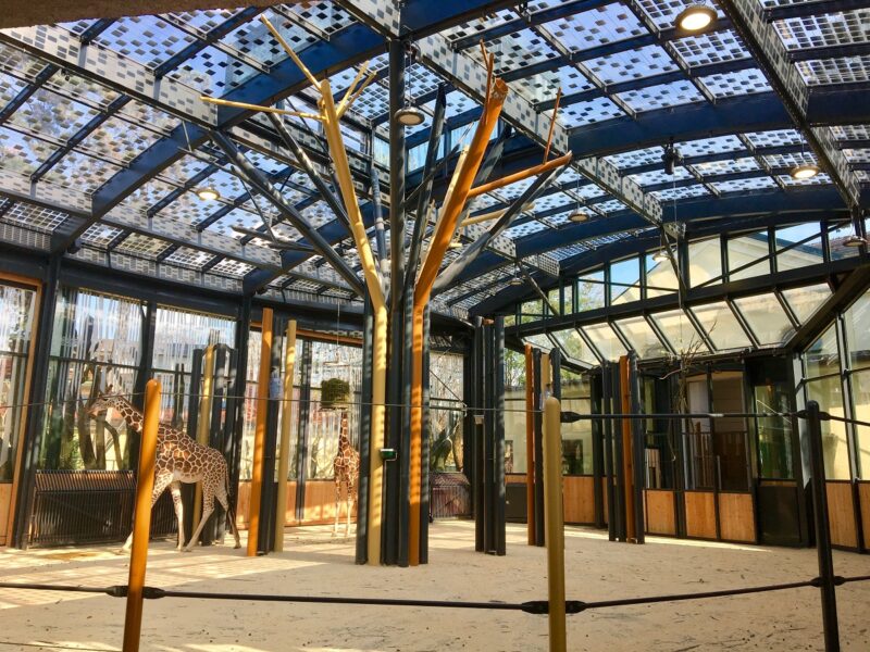 Zu sehen ist eine in das transparente Dach des Wiener Tiergartens Schönbrunn. Bald soll eine Photovoltiak-Pflicht für alle neuen Wiener Gebäude gelten.