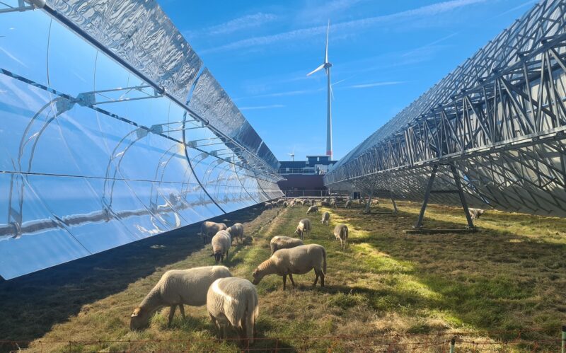 Im Bild eine von den bereits realisierten Parabolspiegel-Prozesswärmeanlagen in Belgien.