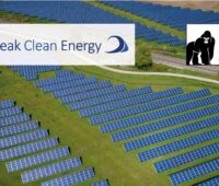 Zu sehen ist ein Solarpark des US-amerikanischen Projektentwicklers Peak Clean Energy.