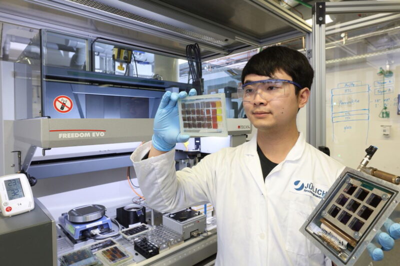 Ein junger Forscher blickt im Labor auf eine Schablone mit verschiedenen, farbigen Materialien.