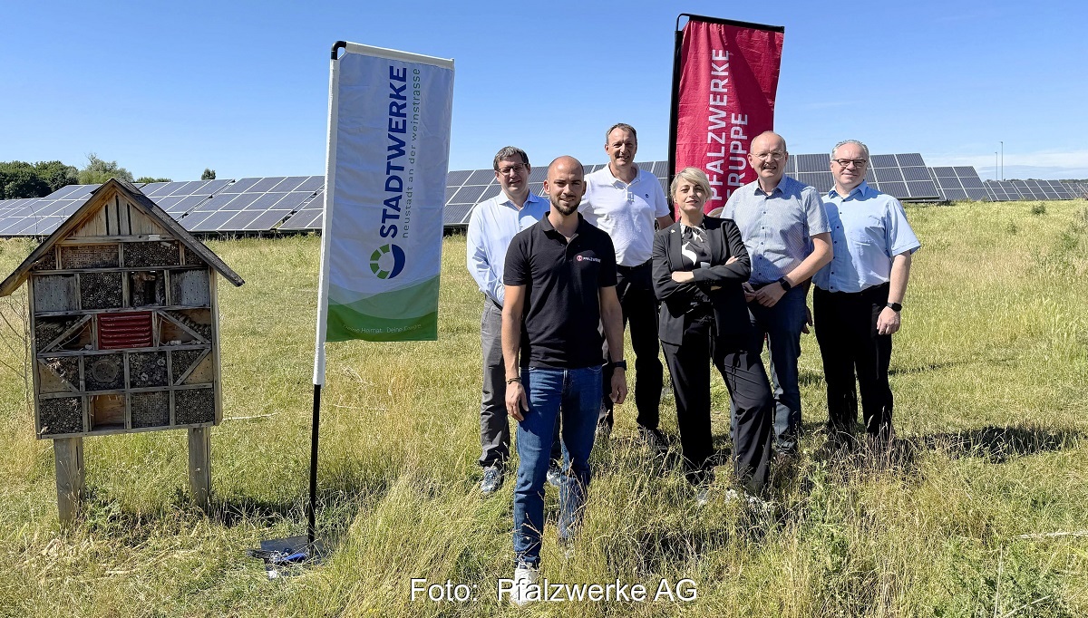 Offizielle vor der Photovoltaik-Freiflächenanlage in Neustadt an der Weinstraße, die Pfalzwerke führen ein Repowering durch.