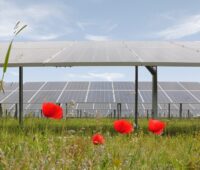 Zu sehen ist eine Freiflächen-Photovoltaik-Anlage. Solche Anlagen sind durch die Novelle des Raumordnungsgesetzes gefährdet, was den Photovoltaik-Ausbau in Niederösterreich ausbremsen könnte.