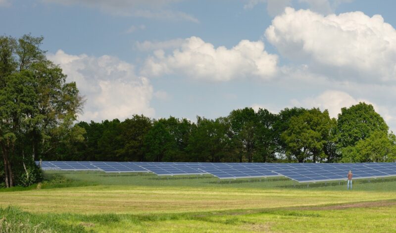 Grafik zeigt eine Photovoltaik-Anlage die in ein Foto aus der Natur montiert ist