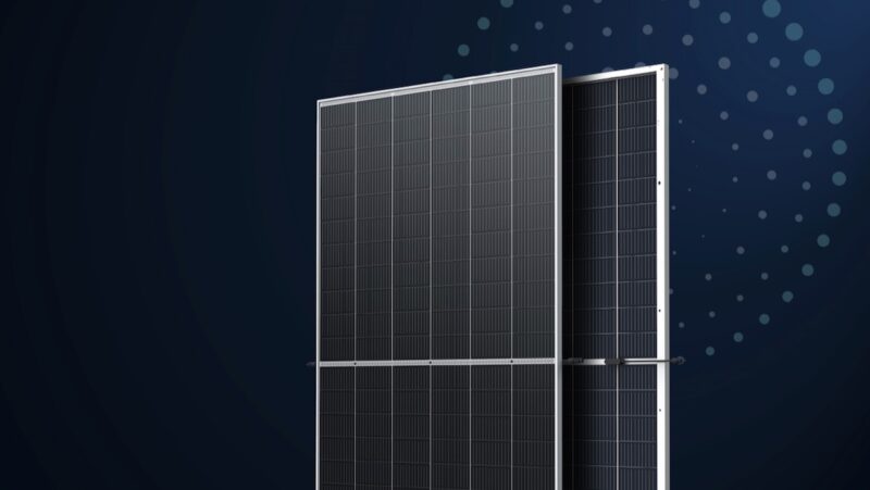 bifaziales PV-Modul von Trina Solar, das in Griechenland für erstes PPA-Projekt eingesetz werden sol