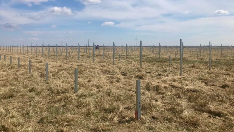 Zu sehen sind Fundamente für eine Photovoltaik-Anlage in Rumänien
