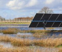 Eine Solarmodulreihe steht in einer teilweise überfluteten Moor-Wiese mit typischer Feuchtwiesenvegetation