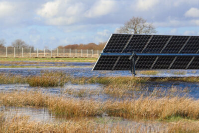 Eine Solarmodulreihe steht in einer teilweise überfluteten Moor-Wiese mit typischer Feuchtwiesenvegetation