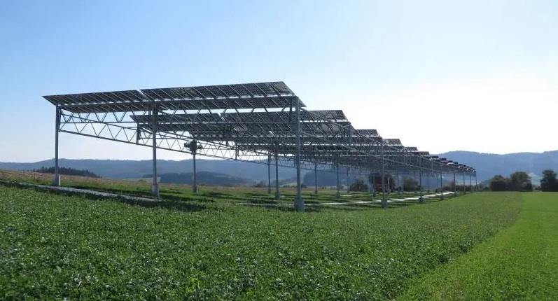 Zu sehen ist eine besondere Solaranlage nach der Innovationsausschreibungsverordnung. Es handelt sich um eine Agri-Photovoltaik-Anlage mit PV-Modulen über einer landwirtschaftlich genutzten Fläche.