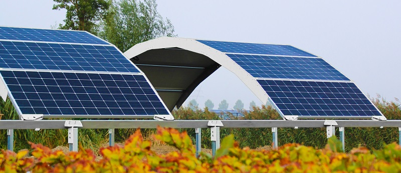Zu sehen ist der neue Photovoltaik-Solarbogen von Goldbeck Solar, der in der Agri-PV Anwendung finden soll.
