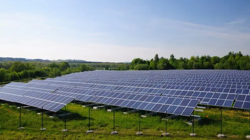 Zu sehen ist ein Photovoltaik-Solarpark. Das KNE hat aktuelle Forschungsprojekte über naturverträgliche Solarenergie zusammengestellt.