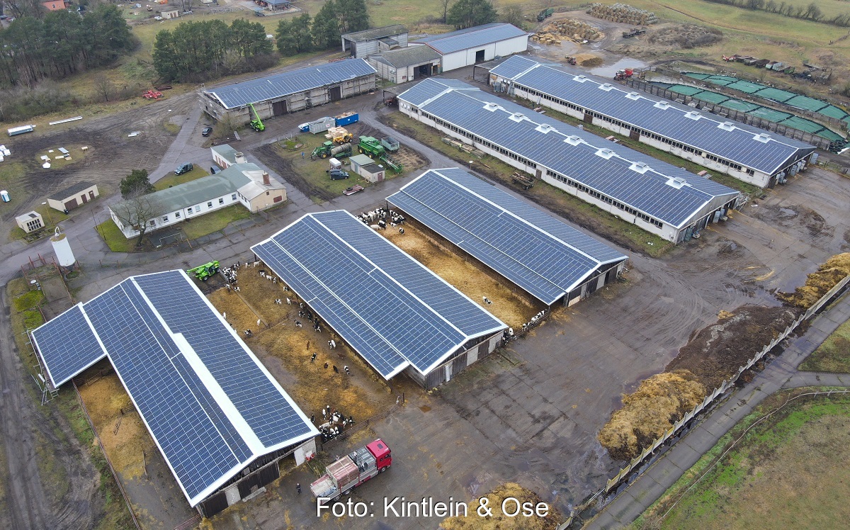 Der Berliner Photovoltaik-Spezialist Kintlein & Ose hat das Asbestdach eines Milchviehbetriebes durch eine Photovoltaik-Anlage mit 1,5 MW Leistung ersetzt.