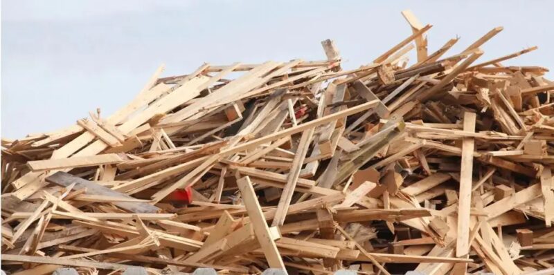 Eine Studie zeigt das Potenzial in Baden-Württemberg für eine holzbasierte Bioökonomie auf.