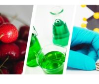 Eine Collage aus Kirschen, grüner Flüssigkeit und Solarzelle, Forscher:innen haben untersucht, welche umweltfreundlichen Lösungsmittel sich für die Produktion von Perowskit-Solarzellen eignen.