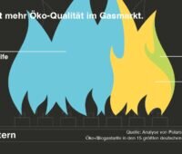 Im Bild eine Grafik, die zeigt wie sich die Ökogas-Tarife auf Klimatarife, Beimischungen und echte Biomethantarife verteilen.