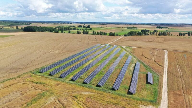 Eine Freiflächensolaranlage auf Feldern.