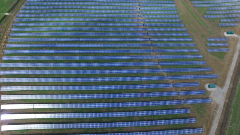Luftbild von Solarmodul-Reihen auf grüner Wiese.