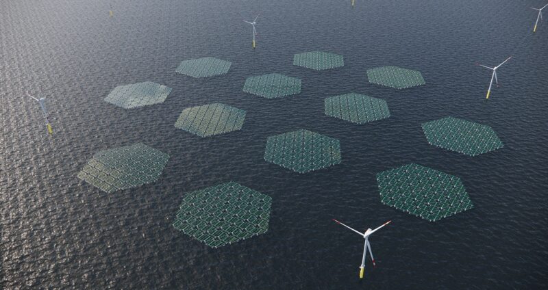 RWE und Solarduck wollen Offshore-Floating-PV, schwimmende Solaranlagen auf dem Meer, voranbringen.