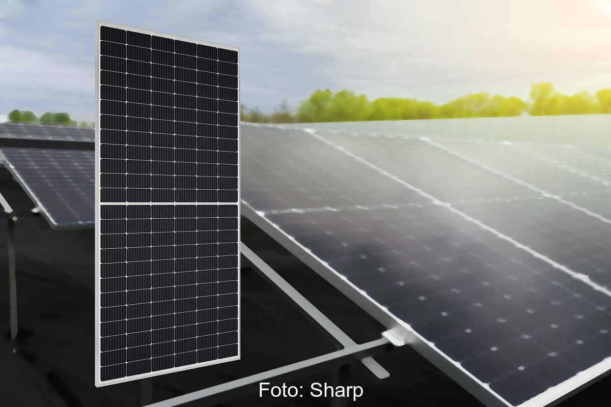 Zu sehen ist das neue 445-W-Halbzellen-Photovoltaik-Modul von Sharp.