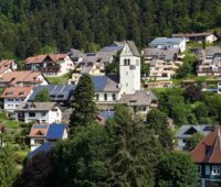 ZU sehen ist ein idyllisches Dorf mit vielen Photovoltaik-Anlagen, die für das Energiemanagement für die Bürgerenergiewende geeignet sind.