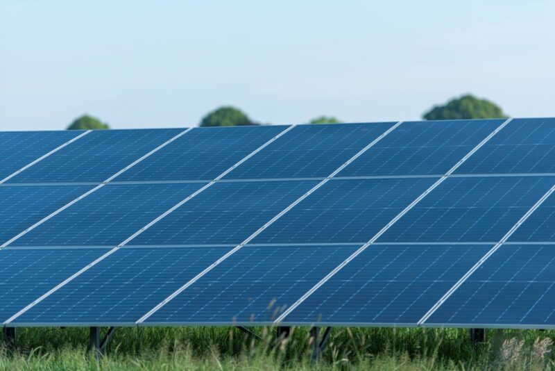 PV-Module auf grüner Wiese.