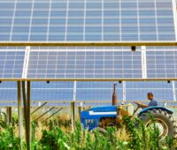 Ein Traktor fährt durch eine Photovoltaik-Anlage auf einer kombinierten Agri-PV-Fläche.