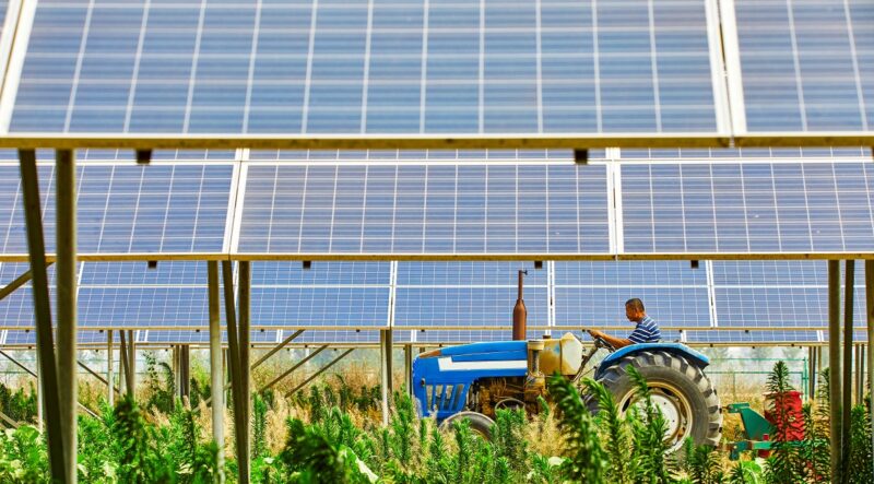 Ein Traktor fährt durch eine Photovoltaik-Anlage auf einer kombinierten Agri-PV-Fläche.