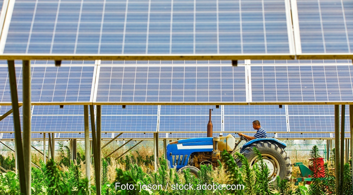 Ein Traktor fährt durch eine Photovoltaik-Anlage auf einer kombinierten Agri-PV-Fläche.