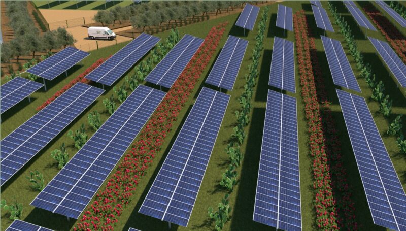 Im Bild eine Animation, die den Aufbau der Agri-PV-Anlage auf Sizilien zeigt.