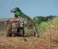 Traktor-Ernte von Zuckerrohr