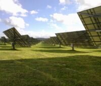 Nachgeführte Solarspiegel auf grüner Wiese.