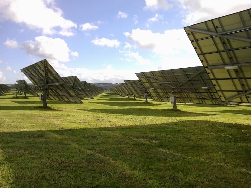 Nachgeführte Solarspiegel auf grüner Wiese.