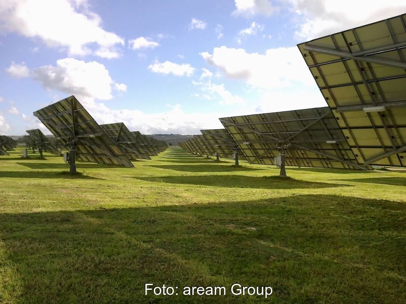 Nachgeführte Solarspiegel auf grüner Wiese.