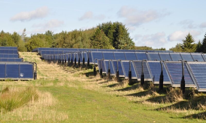Zu sehen ist eine Solarthermie-Freiflächenanlage im dänischen Braedstrup. Im IEA SHC Task 55 beschäftigen sich Wissenschaftler:innen mit solchen Solarthermie-Großanlagen.