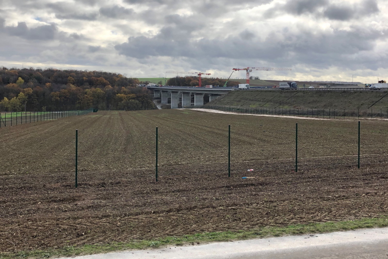 Ein Feld am Rande einer Autobahnbrücke.
