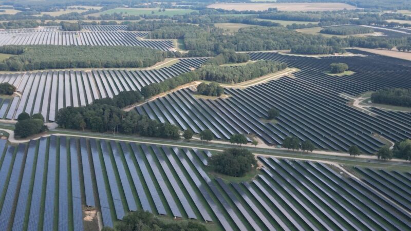 Luftaufnahme eines großflächigen Solarparks mit langen Reihen von Photovoltaik-Modulen zwischen Baumgruppen, Straßen und landwirtschaftlichen Flächen.