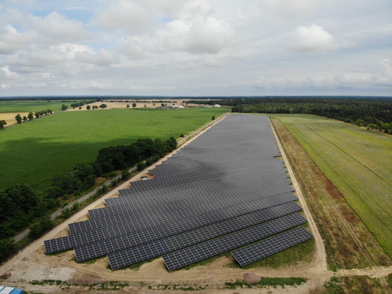 Ein Freiflächen-Solarpark auf grüner Wiese