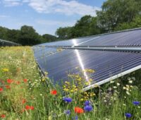 Zu sehen sind Blumen vor einer Solarthermie-Freiflächenanlage. Die Leipziger Stadtwerke planen eine solche für 2022.