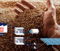 Hand mit Gerstenkörnern vor einer schematischen Darstellung einer Solarthermie-Anlage zur Bereitstellung von Prozesswärme für die Malztrocknung in einer Brauerei.