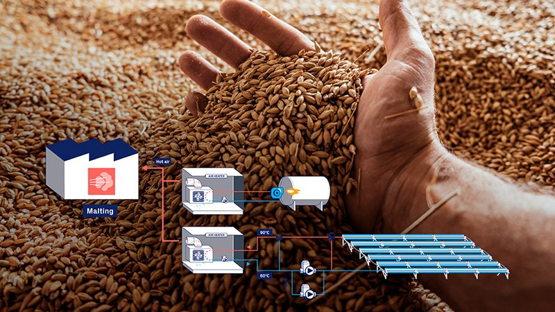 Hand mit Gerstenkörnern vor einer schematischen Darstellung einer Solarthermie-Anlage zur Bereitstellung von Prozesswärme für die Malztrocknung in einer Brauerei.