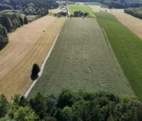 Luftbild einer landwirtschaftlichen Fläche bei Neuwaldburg auf der eine Agri-Photovoltaik-Anlage entstehen soll.