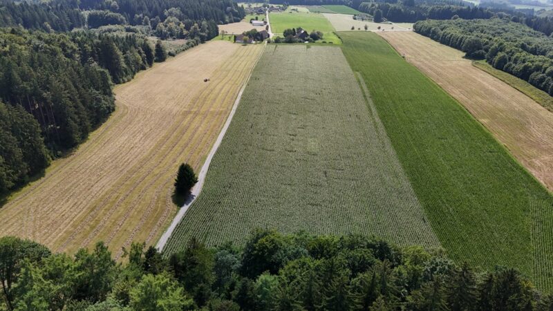 Luftbild einer landwirtschaftlichen Fläche bei Neuwaldburg auf der eine Agri-Photovoltaik-Anlage entstehen soll.