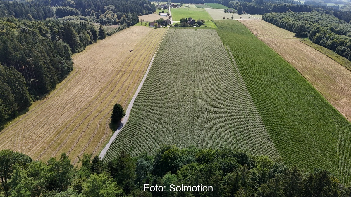 Luftbild einer landwirtschaftlichen Fläche bei Neuwaldburg auf der eine Agri-Photovoltaik-Anlage entstehen soll.