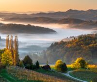 Ein Landschaft in der Steiermark bei Sonnenuntergang mit Weinbergen an den Hängen und Nebel im Tal.