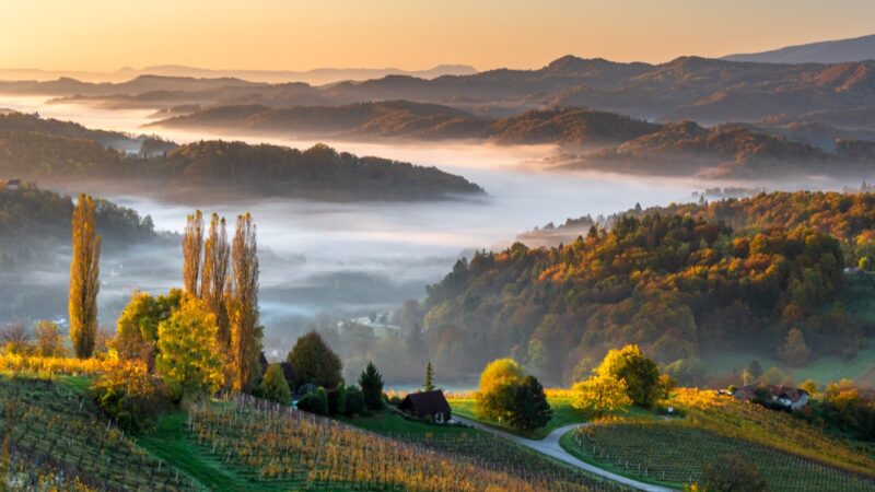 Ein Landschaft in der Steiermark bei Sonnenuntergang mit Weinbergen an den Hängen und Nebel im Tal.
