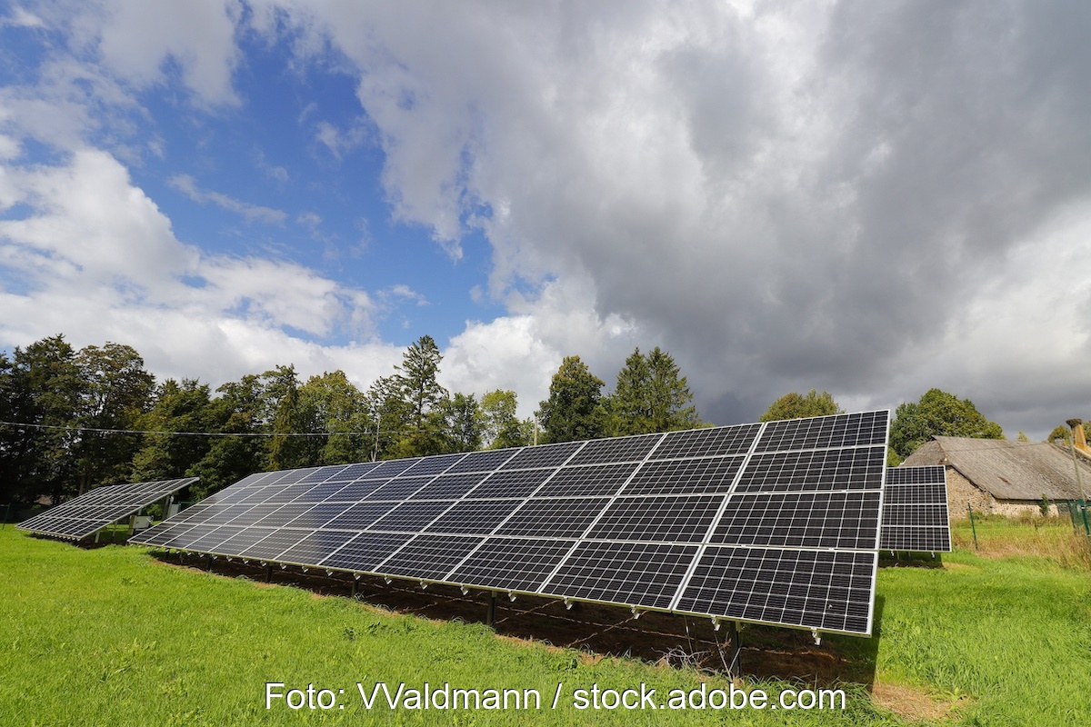 Eine Freiflächen-Photovoltaikanlage auf einer Wiese. Solche Anlagen könnten künftig in bestimmten Bereichen Hessens laut neuer Bauordnung genehmigungsfrei sein. Sie soll erneuerbare Energien voran bringen.
